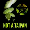 RingStar - Not a Taipan - Single